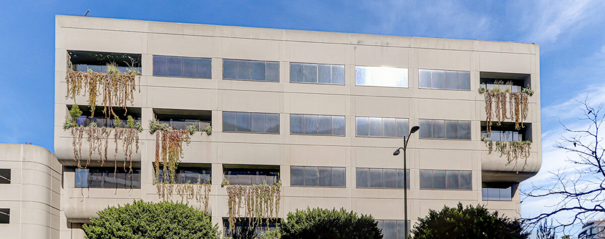 Clear Behavioral Health – Outpatient Mental Health Services in Los Angeles, CA